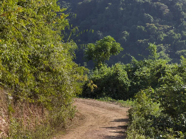 Camino Tierra Pasando Por Bosque Luang Prabang Laos —  Fotos de Stock