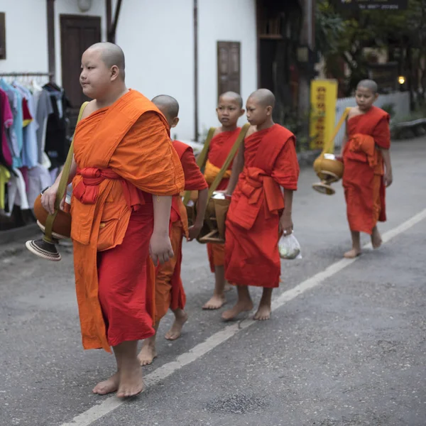 Gruppo Monaci Che Camminano Strada Luang Prabang Laos — Foto Stock