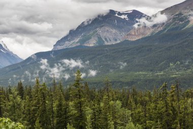 Ağaçları ile bulutlu gökyüzü, Waterton göller Milli Parkı, Güney Alberta, Alberta, Kanada karşı dağlar doğal görünümünü
