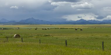 Saman balya ile arka plan, Pincher Creek, Güney Alberta, Alberta, Kanada dağlarında çiftliğinde