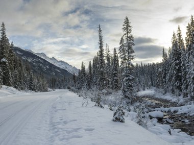 Dağ silsilesi, Maligne Gölü, Jasper, Jasper National Park, Alberta, Kanada doğru yol önde gelen kar kaplı