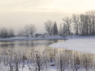 Doğal görünümü donmuş gölün, Prince George, British Columbia, Kanada