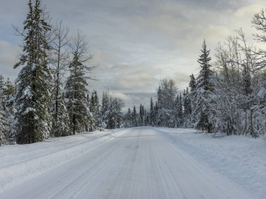 Orman, British Columbia otoyol 97, British Columbia, Kanada içinden geçen yol kar kaplı