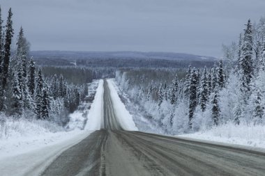 Orman, Alaska Highway, Kuzey Rockies bölgesel Belediyesi, British Columbia, Kanada kar üzerinden geçen otoyol kapalı