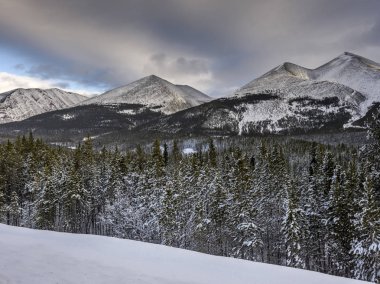 Ağaçlar dağ arka planda ile Alaska Highway, Kuzey Rockies bölgesel Belediyesi, British Columbia, Kanada