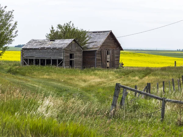 Verlaten Schuren Boerderij Zuidelijk Alberta Alberta Canada — Stockfoto