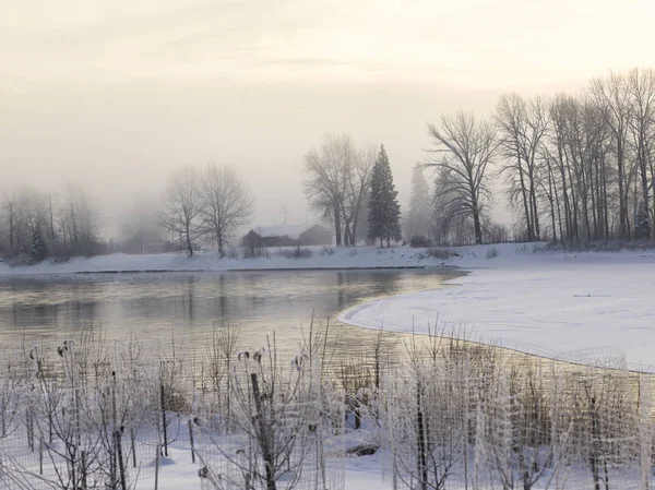 Malebný Pohled Zamrzlé Jezero Prince George Britská Kolumbie Kanada — Stock fotografie