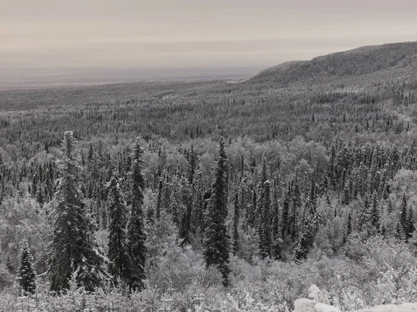 Vista Elevata Alberi Ricoperti Gelo Una Foresta Alaska Highway Northern — Foto Stock