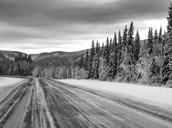 Εθνική Οδό Περνώντας Μέσα Από Χιόνι Κάλυψε Δάσος Αλάσκα Εθνική — Φωτογραφία Αρχείου