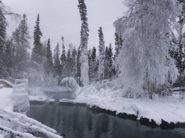 Gölde bir kar kaplı park, Liard River Hot Springs Provincial Park, Kuzey Rockies bölgesel Belediyesi, British Columbia, Kanada