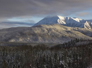 Doğal görünüm ağaç arka planda, dağ silsilesi ile Alaska Highway, Kuzey Rockies bölgesel Belediyesi, British Columbia, Kanada