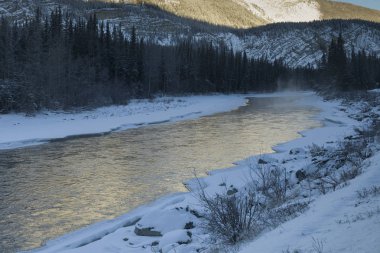 Orman, Alaska Highway, Kuzey Rockies bölgesel Belediyesi, British Columbia, Kanada içinden akan dere