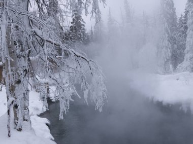 Sıcak bahar, patlayan Buhar Liard River Hot Springs Provincial Park, Kuzey Rockies bölgesel Belediyesi, British Columbia, Kanada