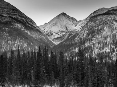 Görünüm ağaç arka planda, karlı dağ ile Alaska Highway, Kuzey Rockies bölgesel Belediyesi, British Columbia, Kanada