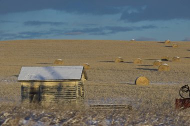 Ahır ve saman balya bir alanda, kovboy izi, Alberta otoyol 22, Alberta, Kanada