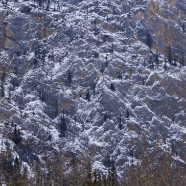 Ağaçlar yükseltilmiş görünümünü dağda, geliştirme bölgesi No. 12, Otoban 16, Yellowhead Otoban, Jasper, Jasper National Park, Alberta, Kanada
