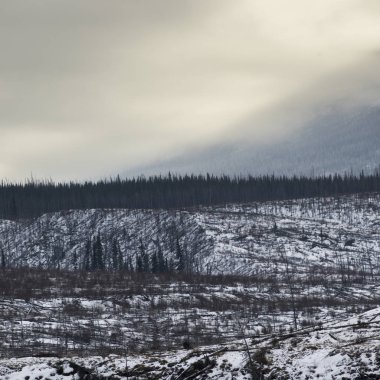 Hill, geliştirme bölgesi No. 12, Otoban 16, Yellowhead Otoban, Jasper, Jasper National Park, Alberta, Kanada doğal görünümü kar kaplı
