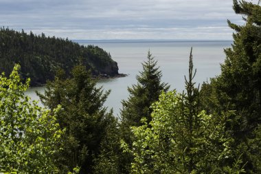 Doğal görünümü Fundy Körfezi, New Brunswick, Kanada üzerinde Fundy Milli Parkı