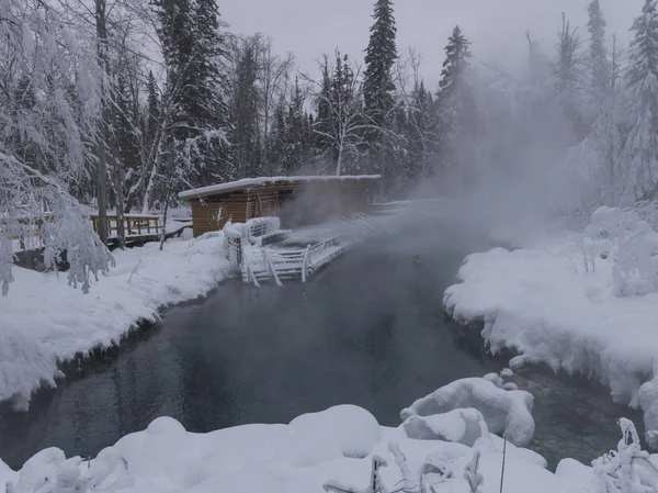 Steam erupting from hot spring, Liard River Hot Springs Provincial Park, Northern Rockies Regional Municipality, British Columbia, Canada