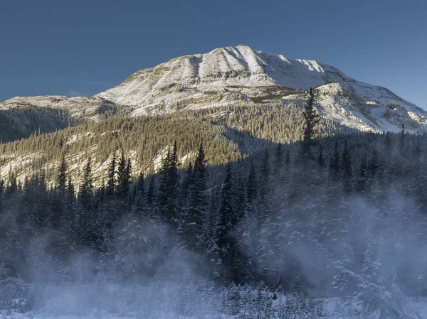 Перегляд Дерев Snowcapped Гори Задньому Плані Аляска Шосе Скелястих Горах — стокове фото
