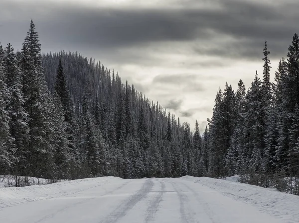 Χιόνι Κάλυψε Δρόμος Που Περνά Μέσα Από Δάσος Λίμνη Maligne — Φωτογραφία Αρχείου
