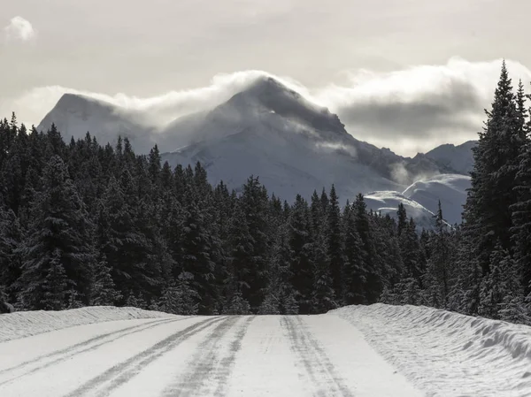 Carretera Que Pasa Por Bosque Distrito Mejora Maligne Lake Jasper — Foto de Stock