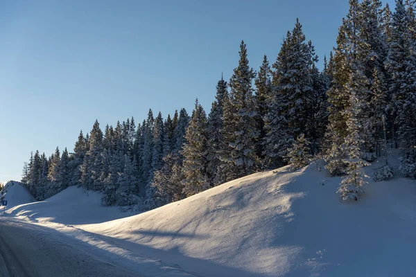 Alberi Lungo Strada Innevata Alaska Highway British Columbia Canada — Foto Stock