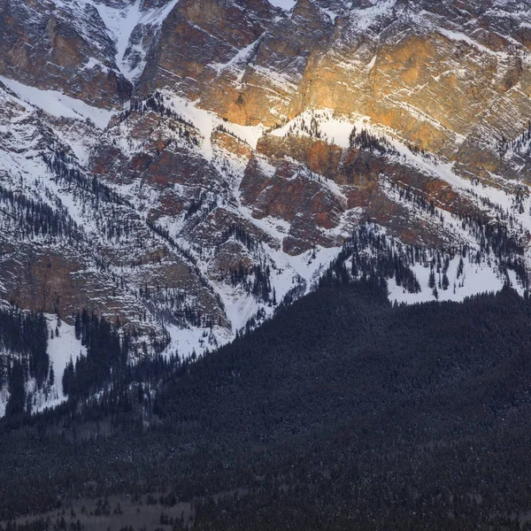 Luchtfoto Van Bomen Berg Highway Jasper Jasper National Park Alberta — Stockfoto