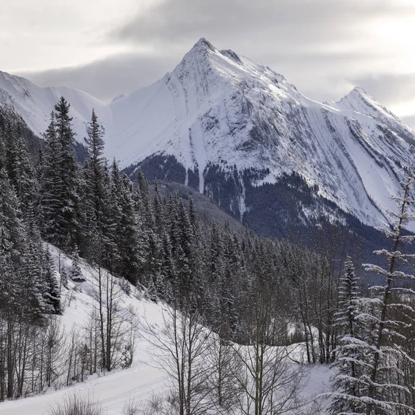 Vista Panorâmica Cordilheira Coberta Neve Distrito Melhoria Maligne Lake Jasper — Fotografia de Stock