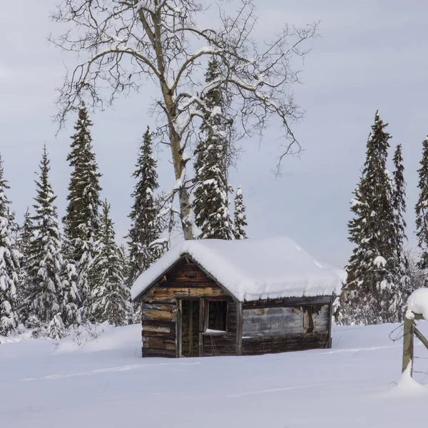 Log cabin in snow covered forest, British Columbia Highway 97, British Columbia, Canada