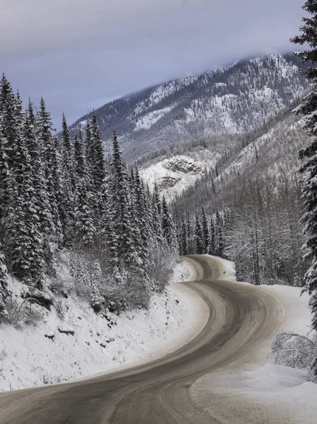 Highway passing through snow covered forest, Alaska Highway, Northern Rockies Regional Municipality, British Columbia, Canada