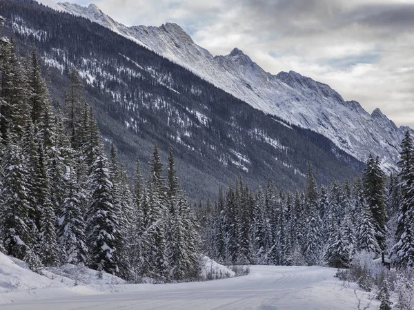 Snow Covered Road Leading Mountain Range Maligne Lake Jasper Jasper — Fotografia de Stock