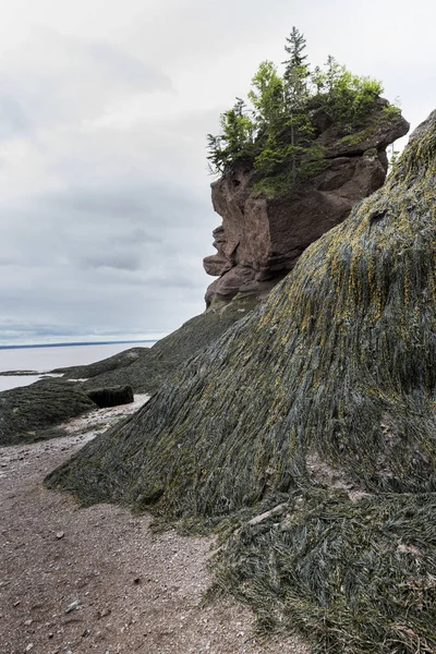 Formaciones Rocosas Hopewell Rocks Bahía Fundy Nuevo Brunswick Canadá — Foto de Stock