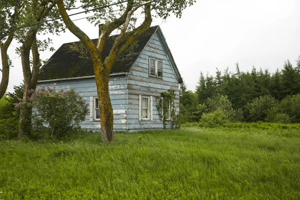 Opuštěný Dům Farmě New Brunswick Kanada — Stock fotografie