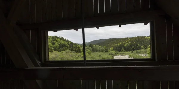 Forest Viewed Window Covered Bridge Fundy National Park Alma New — Stock Photo, Image