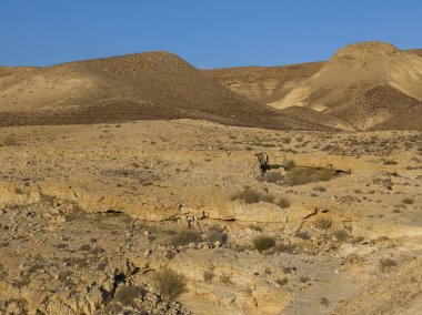 Elevated view of desert, Judean Desert, Dead Sea Region, Israel clipart