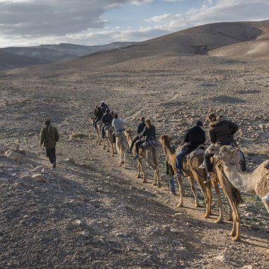 Develer çöl Judean Desert, Dead Sea Region, İsrail sürme turist