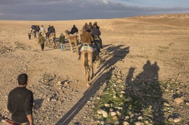 Develer çöl Judean Desert, Dead Sea Region, İsrail sürme turist
