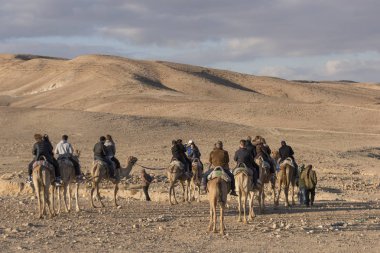 Develer çöl Judean Desert, Dead Sea Region, İsrail sürme turist