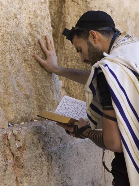 Yahudi Adam Western Wall Old City Kudüs Srail Dua — Stok fotoğraf