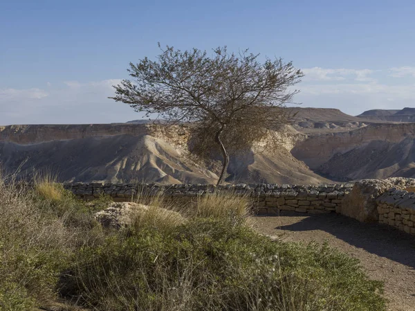 Άποψη Του Ben Gurion Ταφής Ben Gurion Memorial Sde Boker — Φωτογραφία Αρχείου