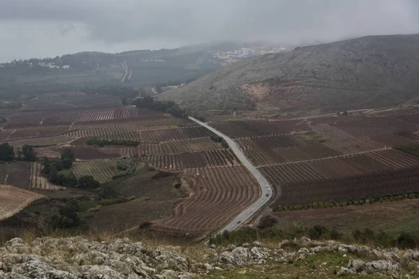 Road Passing Fields Metula Northern District Israel — Stock Photo, Image