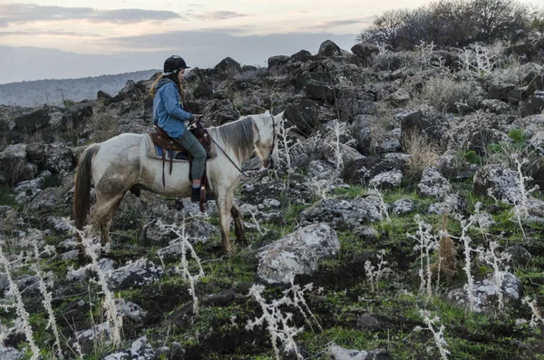 Ragazza Adolescente Cavallo Galilea Israele — Foto Stock