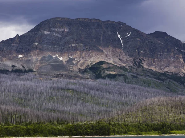 山脈の背景には 太陽に行く道路のグレーシャー国立公園の氷河郡 モンタナ州 アメリカの風景の木 — ストック写真