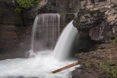 Water falling from rocks in a forest, St Mary Falls, Glacier National Park, Glacier County, Montana, USA clipart