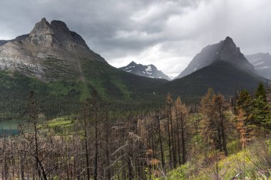 Ağaçlar dağ silsilesi arka plan, güneşin için gidiş Road, buzul Milli Parkı, buzul County, Montana, ABD ile