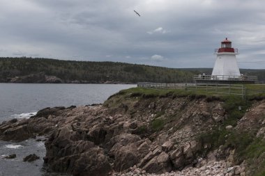 Sahil, Neil'ın Harbour, deniz feneri Cape Breton Adası, Nova Scotia, Kanada