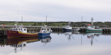Fishing trawlers moored at harbor, Petit Etang, Cape Breton Island, Nova Scotia, Canada clipart