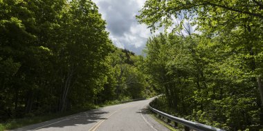 Empty road amidst trees in forest, Pleasant Bay, Cape Breton Highlands National Park, Cape Breton Island, Nova Scotia, Canada clipart