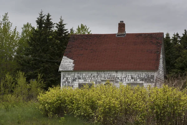 Casa Abandonada Meio Árvores Ingonish Cabot Trail Cape Breton Island — Fotografia de Stock